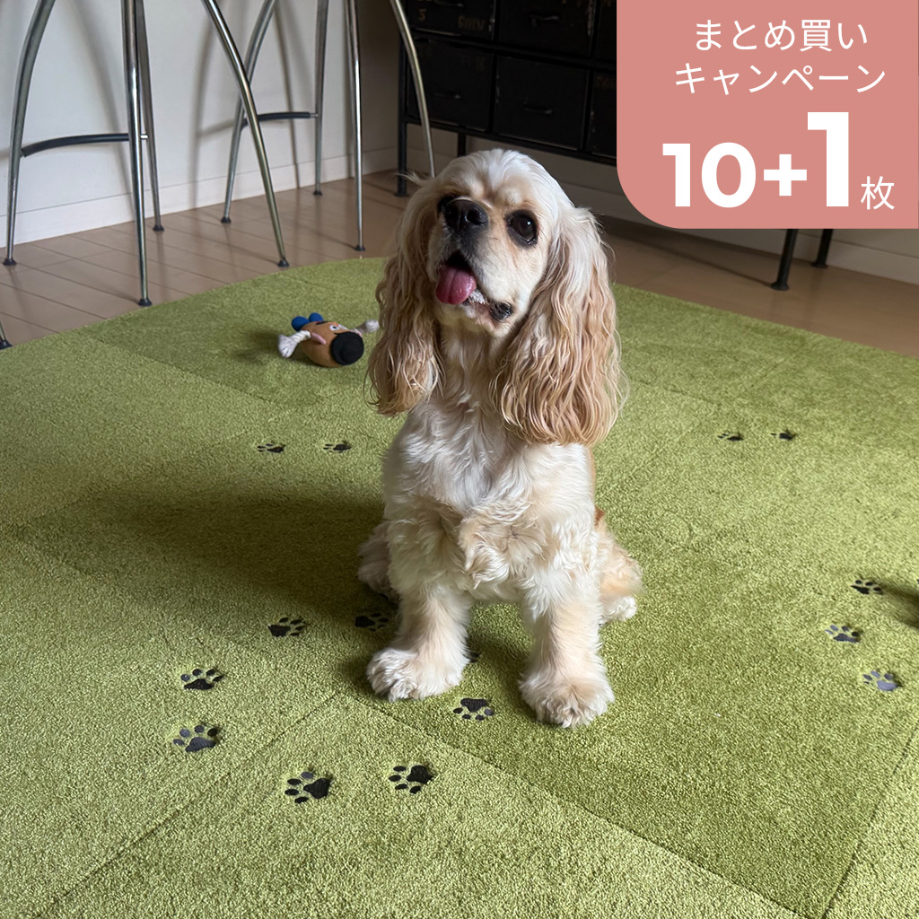 【新色発売】Rugtasu タイルラグ てくてく肉球 50×50cm