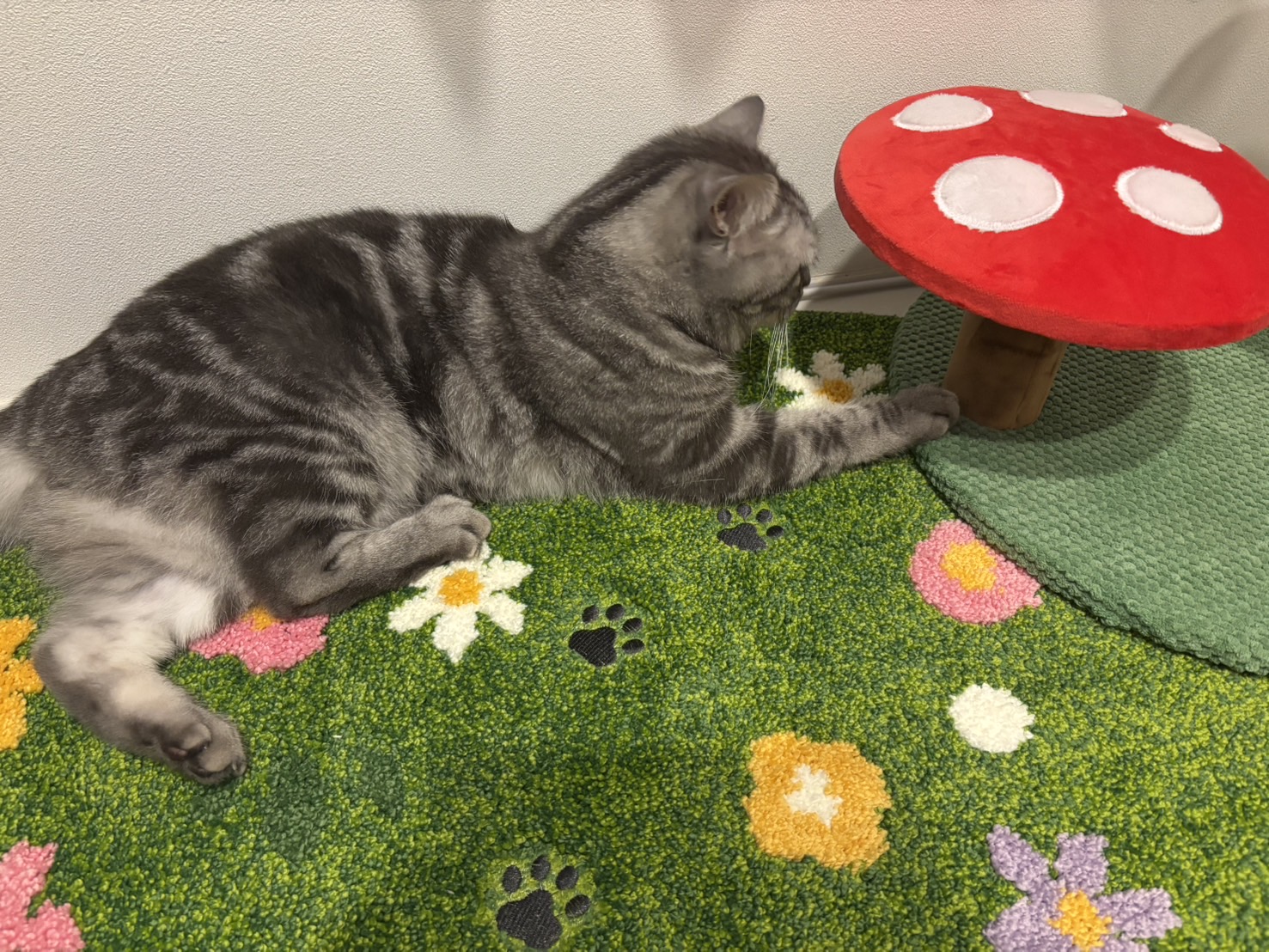 レビュー画像