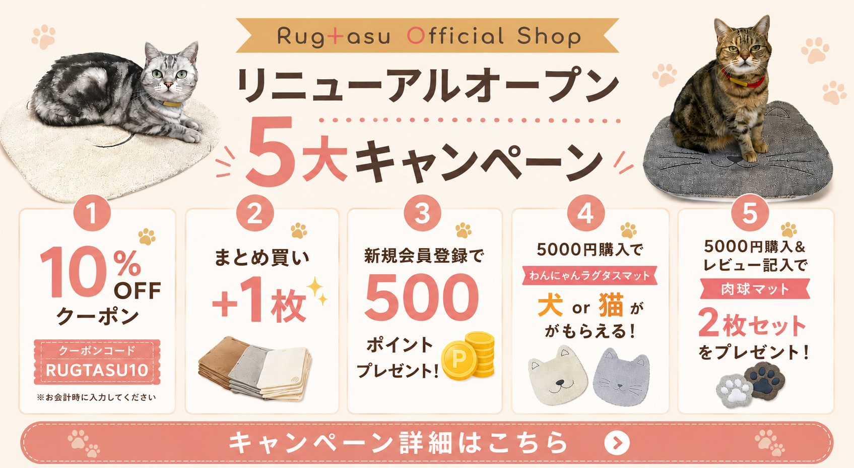 リニューアル記念！5大キャンペーン