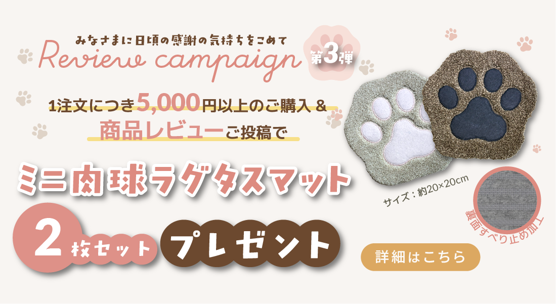 レビューキャンペーン